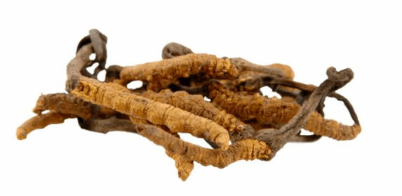 ciuperca cordyceps în Gluconol